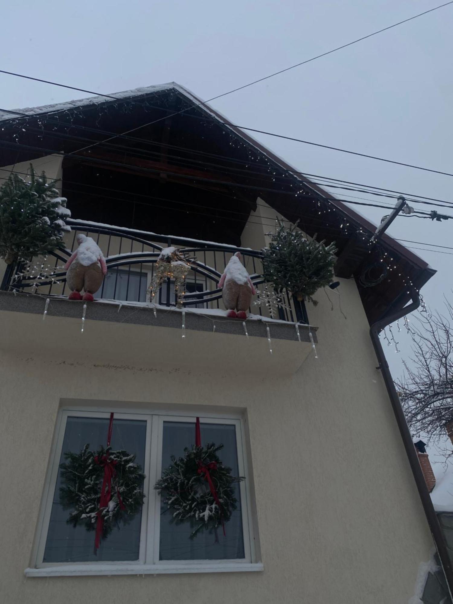 Hotel Casa Leny Tohanu Nou Exteriér fotografie
