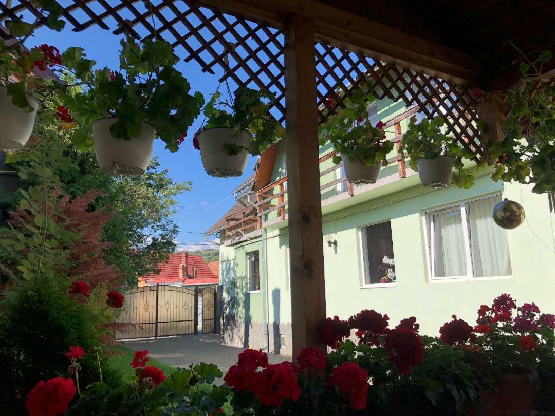 Hotel Casa Leny Tohanu Nou Exteriér fotografie